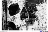 Poster 36"x24" - Urban Skull