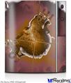 Sony PS3 Skin - Comet Nucleus