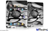 iPad Skin - Whirligig