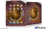 iPad Skin - Comet Nucleus