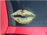 Lips Decal 9x5.5 Birds Butterflies and Flowers